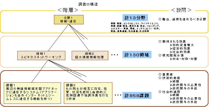 調査の構造