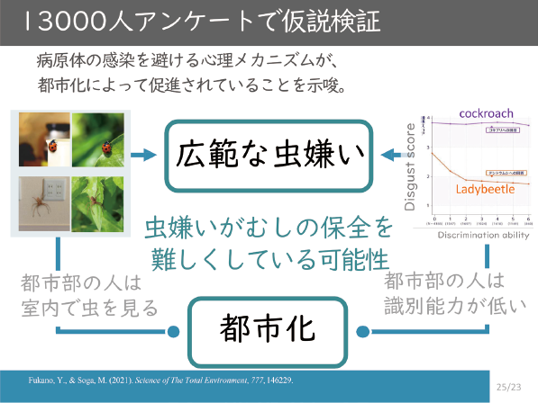 図表6 都市化と虫嫌いの因果の仮説検証