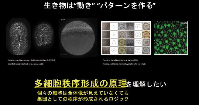 図表3　生き物は“動き”“パターンを作る”