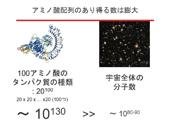 図表5　アミノ酸配列のあり得る数