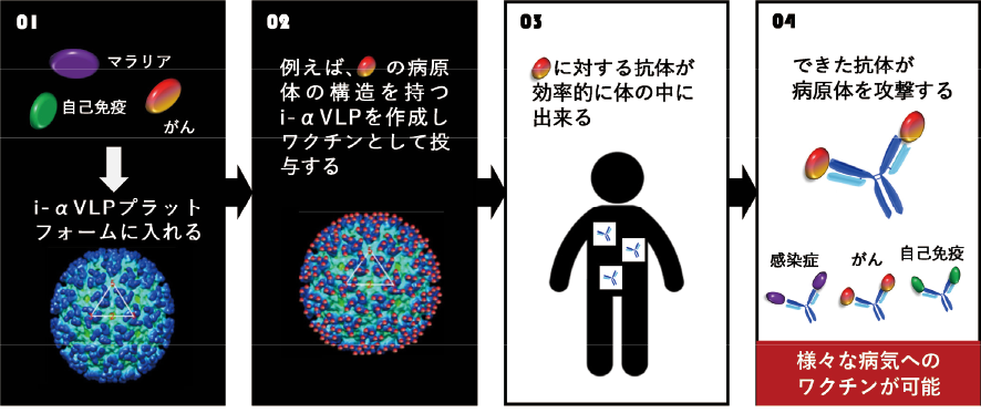 図表　i-αVLPプラットフォーム