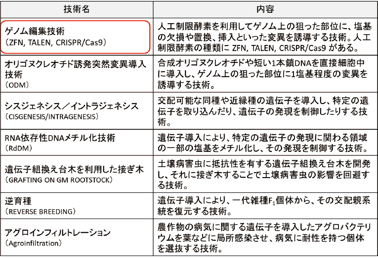 図表１　主なNBTsの例