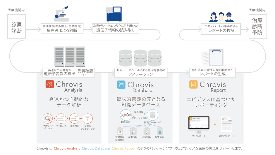 図表　がんゲノム医療でのChrovisの位置付け