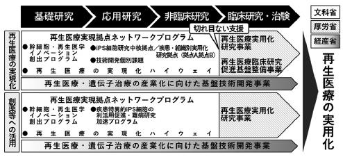 図表1　AMED「再生医療実現プロジェクト」事業