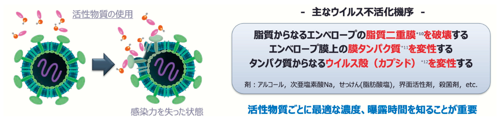 図表3 ウイルスの構造と不活化