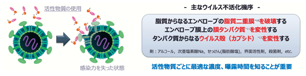 図表3　ウイルスの構造と不活化