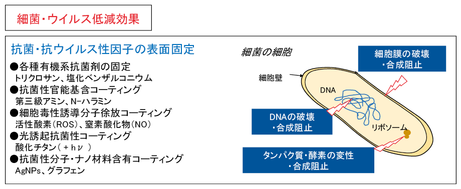 /図表4 抗菌性・抗ウイルス性表面の形成