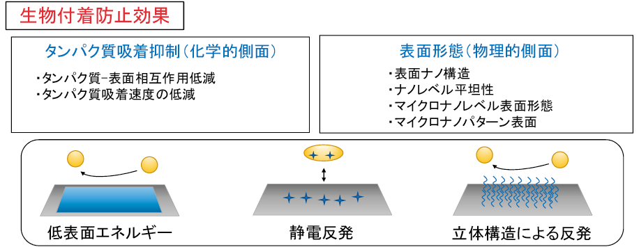/図表4 抗菌性・抗ウイルス性表面の形成