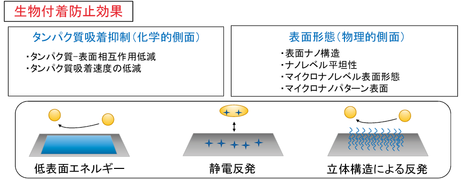 /図表4　抗菌性・抗ウイルス性表面の形成