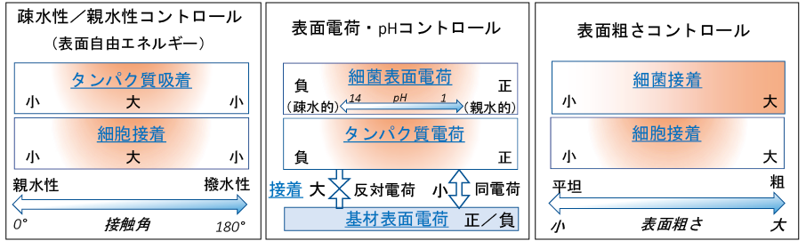 /図表4 抗菌性・抗ウイルス性表面の形成