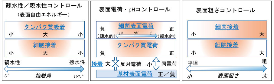 /図表4　抗菌性・抗ウイルス性表面の形成