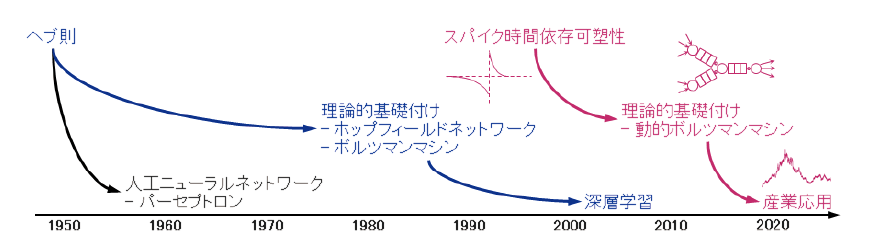 図表1 スパイク時間依存可塑性に理論的基礎付けを与える動的ボルツマンマシン(大塚誠氏との共同研究)