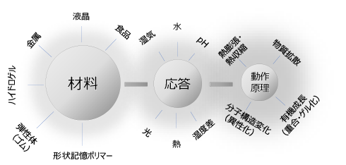 図表7　4Dプリンティングの多様性