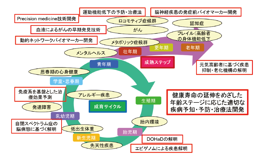 図表2　ライフコース・アプローチと関連科学技術