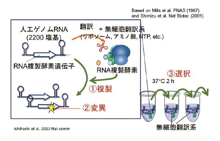 図表1 進化する自己複製システム