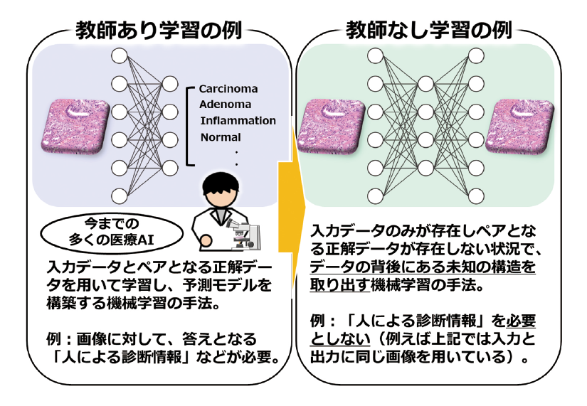 図表２　教師あり学習と教師なし学習の違い