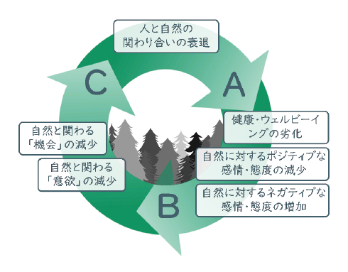 図表1　経験の喪失スパイラルこれまでの研究から、人と自然の関わり合いが衰退することで、人の健康状態が劣化するだけでなく自然に対する興味・関心・保全意欲が低下する恐れがあることが分かりました（矢印A）。こうした感情・態度の変化は次世代にも伝搬し、その過程で自然と関わる「機会」と「意欲」の両方が失われ（矢印B）、これにより人と自然の関わり合いの衰退がますます加速する可能性があります（矢印C）。