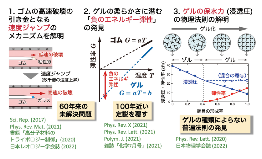 図表 研究成果の概要
